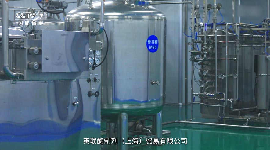 催化科技的力量