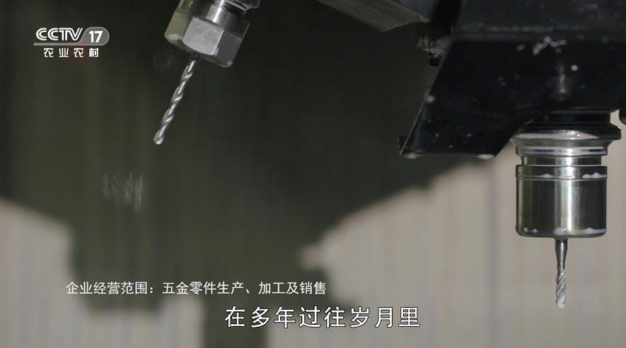 新时代的“赶海人“