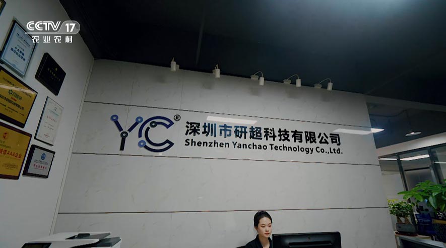 城市上空的瞭望者