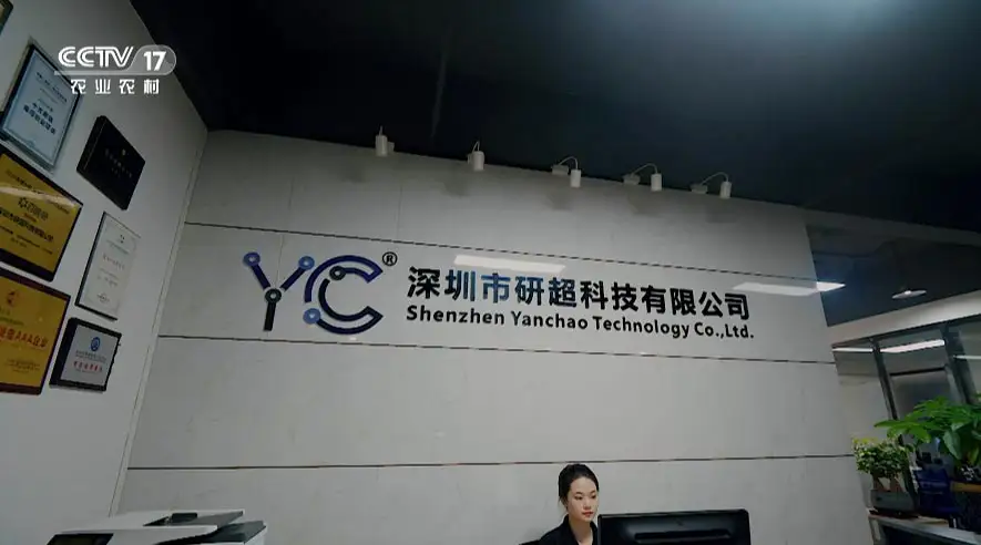 城市上空的瞭望者