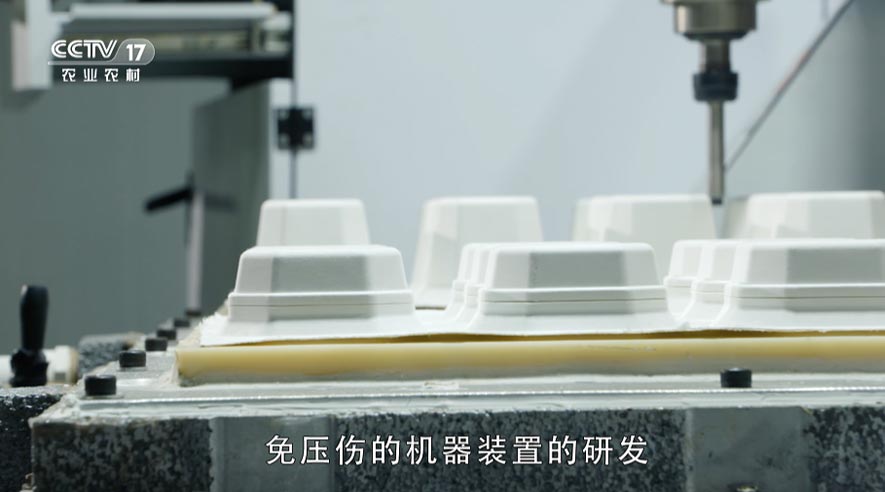 变废为宝的环保纸塑