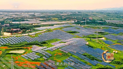 10月10日(4).gif